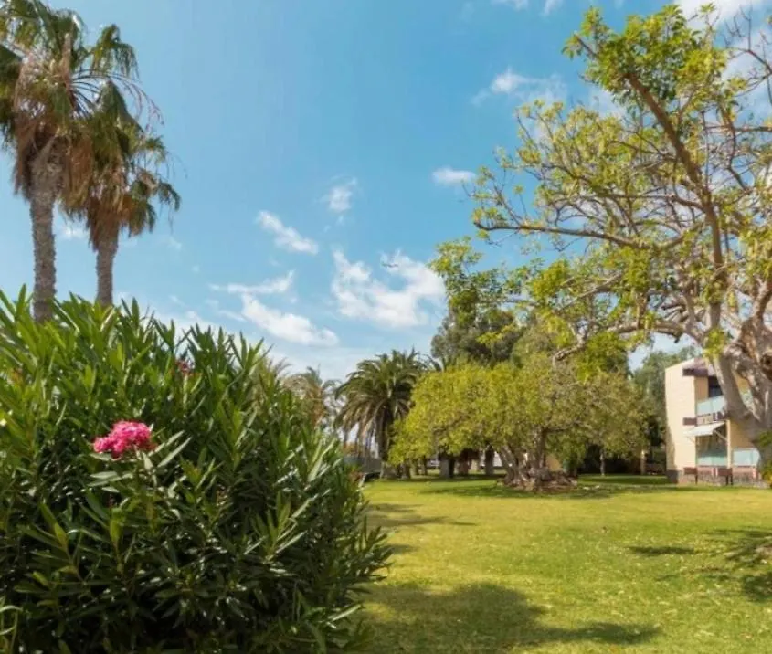 Apartamento Galeria De Arte. Arona  0*, Arona (Tenerife)